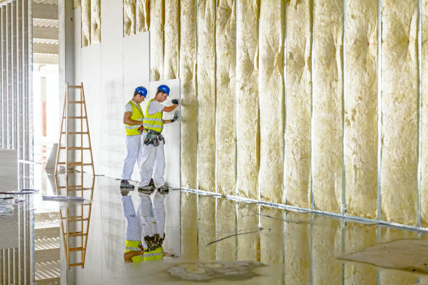Best Commercial Insulation in Aldan, PA